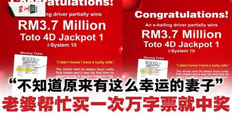 4d 奖金|万能派彩结构 .